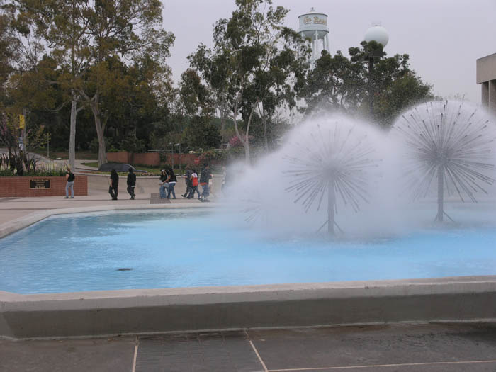 P1013561