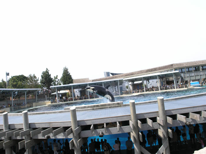 P1013698