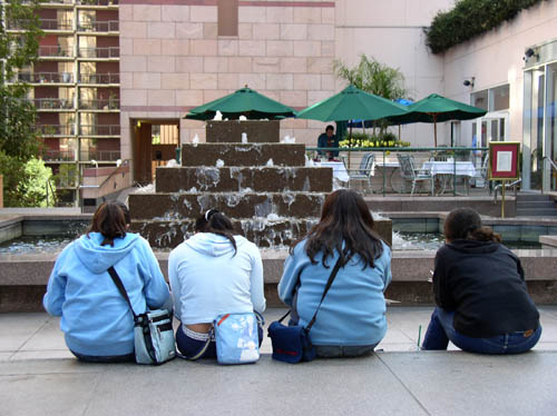 fountain.sketchers