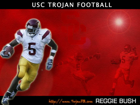 reggie_bush_1024x768