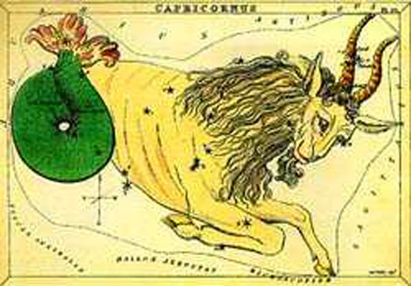 capricorn